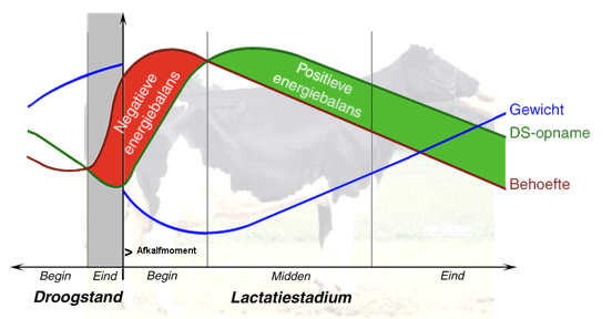 transitieperiode, negatieve energie balans
